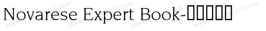 Novarese Expert Book字体转换